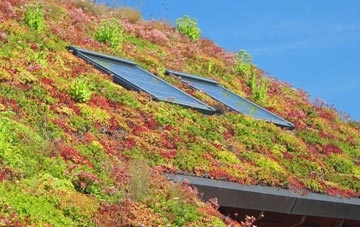 Ogbourne St George living roof systems