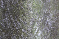 Ogbourne St George fibreglass roof work